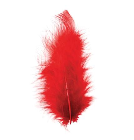 Pochette de plumes rouges 5-10 cm