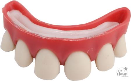 Dentier dents plastique