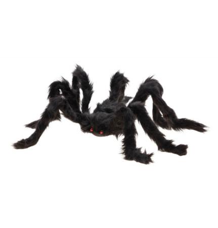 fausse araignée poilue noire