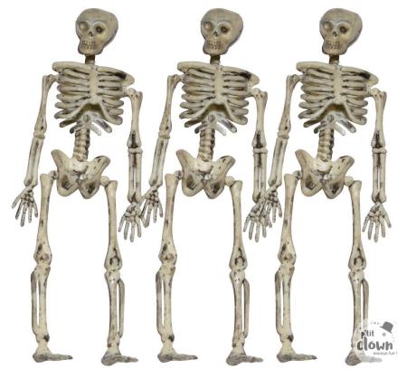 déorations squelette