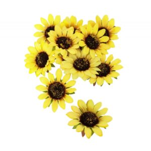 12 Tournesols 8 cm x 1 5 cm