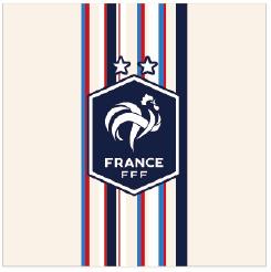 20 SERVIETTES EN PAPIER FFF VINTAGE 33X33CM 2 PLIS