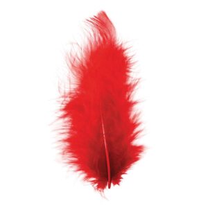 50 plumes couleurs assorties 14515 1