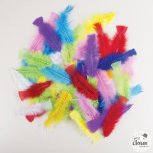 50 plumes couleurs assorties 14515