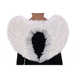 ailes plumes blanches