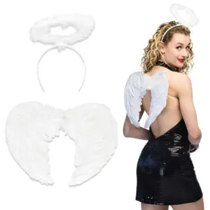 ailes plumes blanches