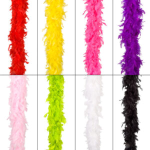 Accessoire boa à plumes 180 cm divers coloris