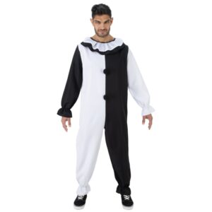 Costume art clown