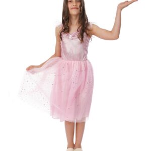 Deguisement princesse rose 1