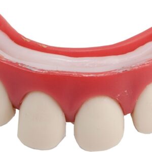 Dentier dents ecartees 28601