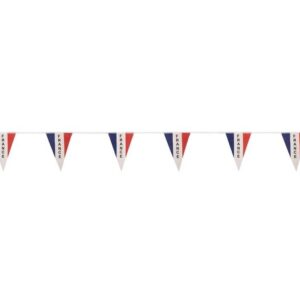Guirlande de fanions bleu blanc rouge 5m 22010