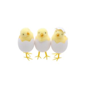 Poussin jaune dans coquille uf blanc 5 cm x 9 cm