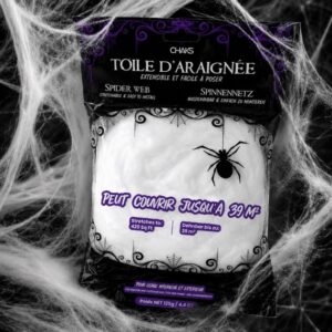 décoration toile araignée blanche