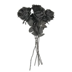 bouquet de 5 roses noires