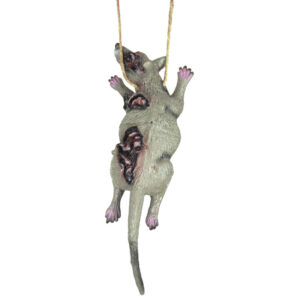 collier rat enrage