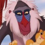 le roi lion
