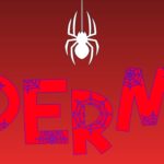 spiderman festizy