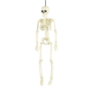 squelette 40cm