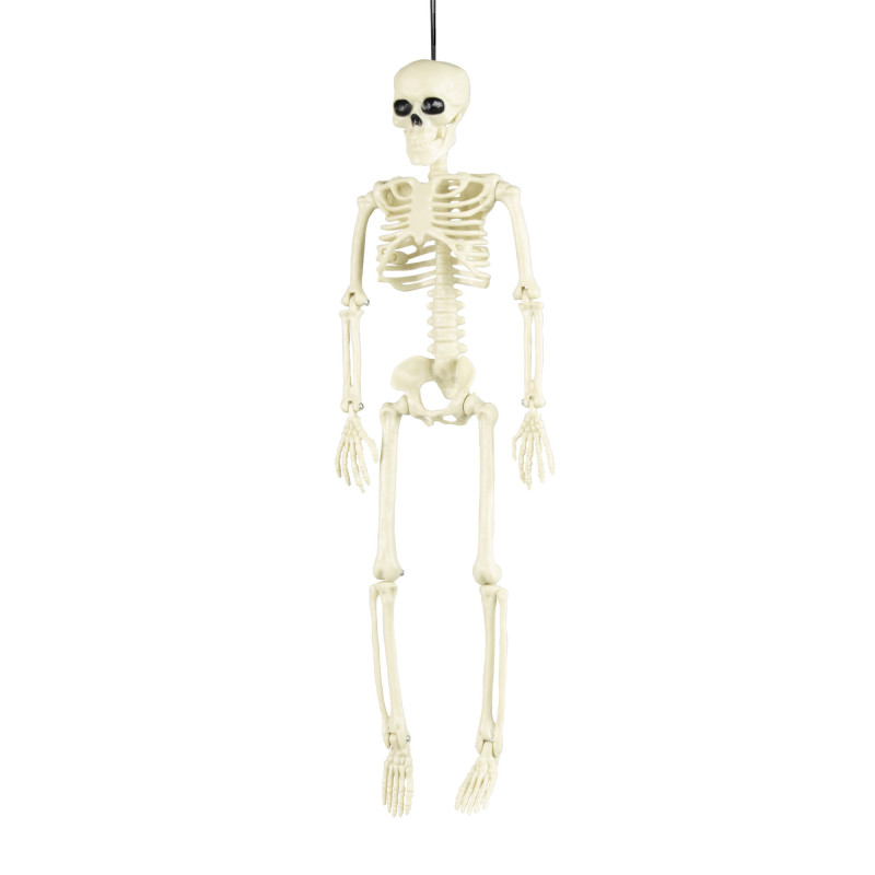 squelette 40cm